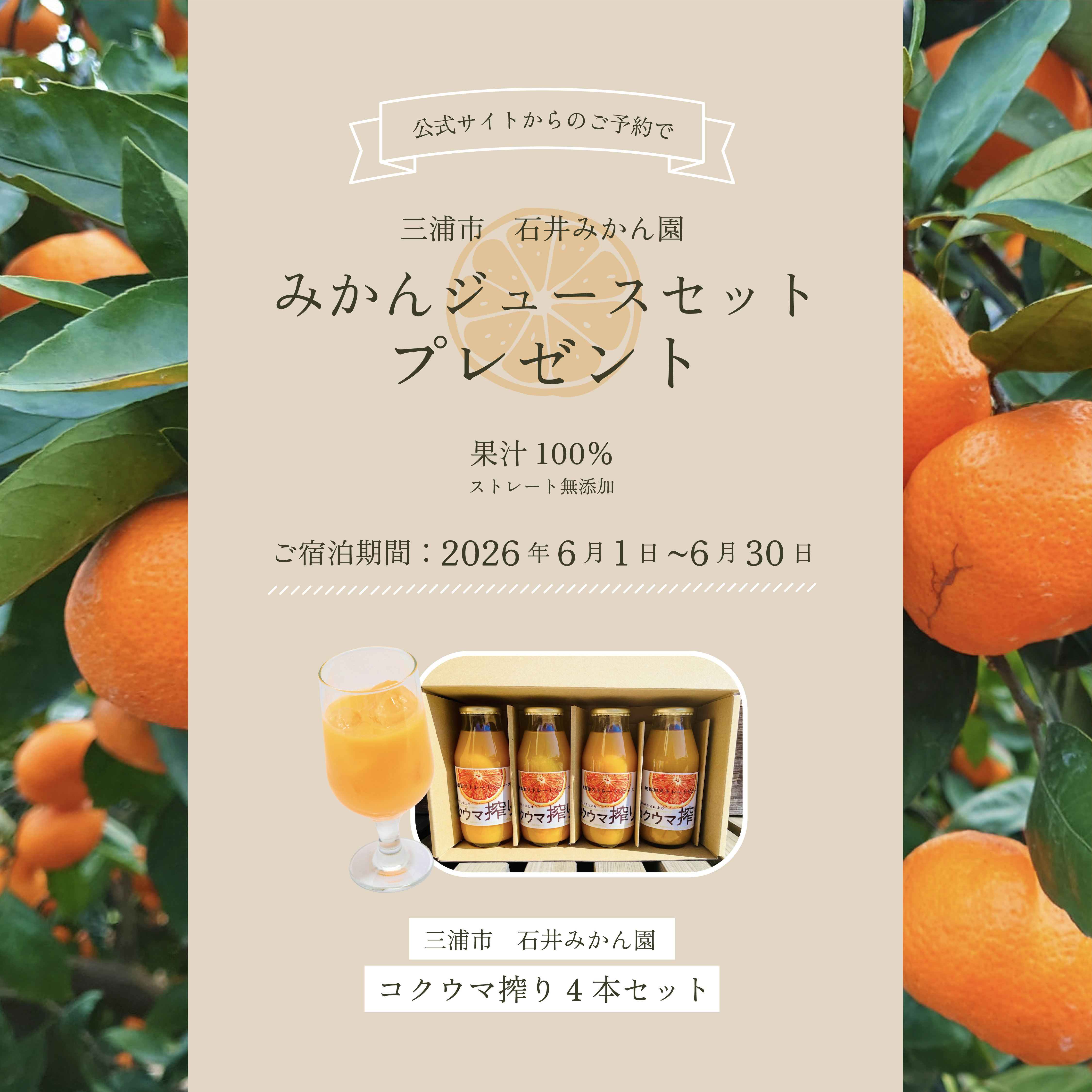 公式サイトからのご予約で三浦市 石井みかん園 みかんジュースセットプレゼント